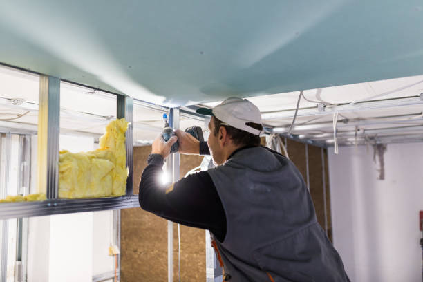 Types of Insulation We Offer in Yerington, NV
