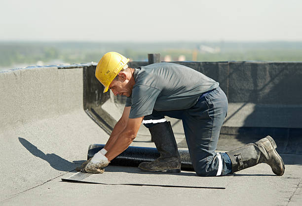 Best Insulation Maintenance and Repair in Yerington, NV