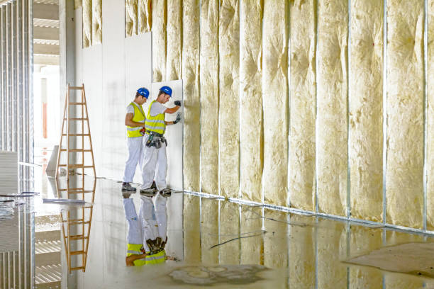 Best Blown-in Insulation in Yerington, NV